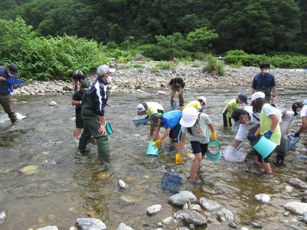 3年生は、「川から学ぼう」をテーマに、後志地区水産技術普及指導所岩内支所の職員の方たちを講師に招いて、泊川に生息する生き物について調べました。