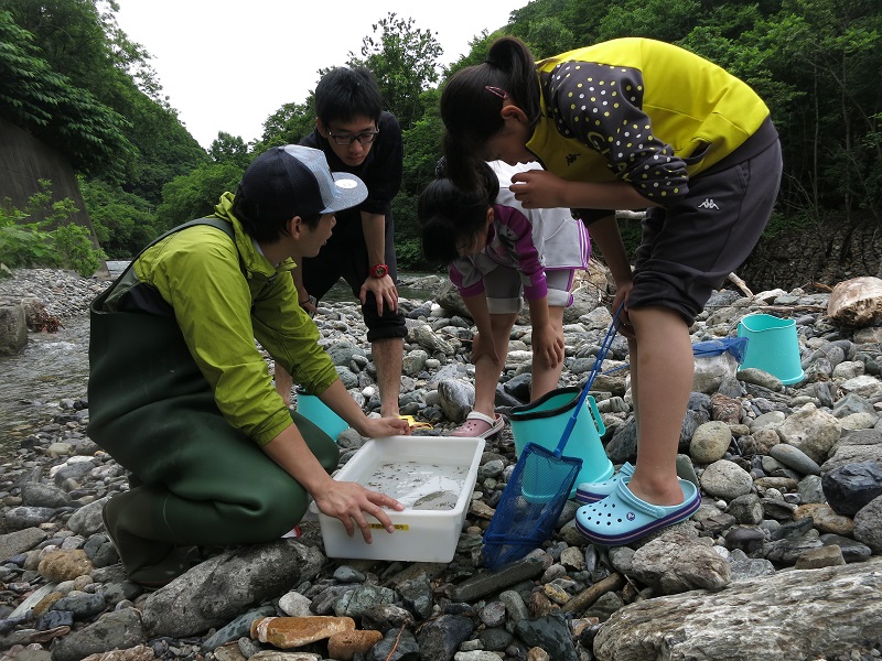 残念ながら魚は捕獲できませんでしたが、見つけたヤゴ（トンボの幼虫）などの水生昆虫の説明をしてもらいました。