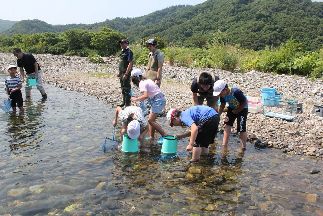 7月10日（水）泊川にて小学校3年生のふるさと教室が行われました。川の生き物を知ることをテーマに、みんな一生懸命魚を追いかけていました。