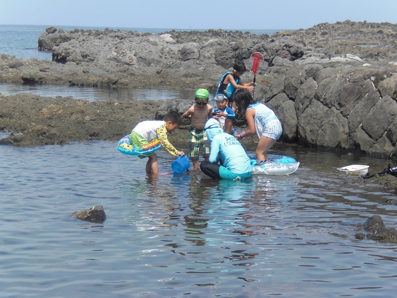 浅瀬で水生生物の観察です。