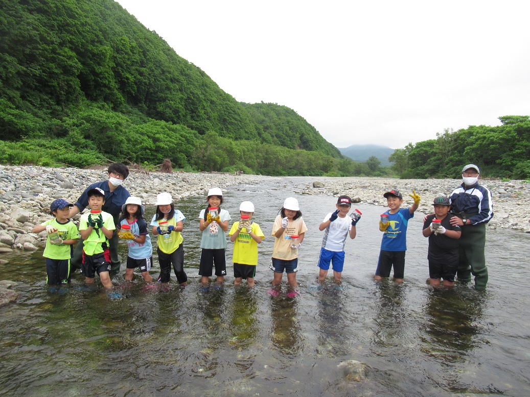 みんなで獲ったカジカや水棲生物を観察した後は、泊川にリリースし、最後はサクラマス稚魚の放流体験をしました。